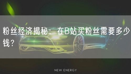 粉丝经济揭秘：在B站买粉丝需要多少钱？
