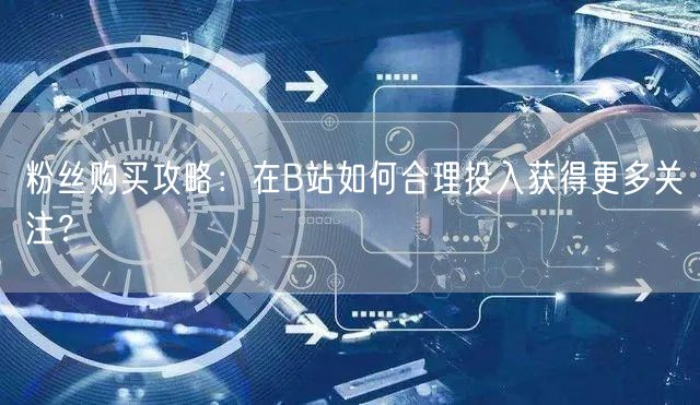 粉丝购买攻略：在B站如何合理投入获得更多关注？