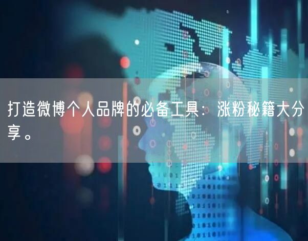 打造微博个人品牌的必备工具：涨粉秘籍大分享。