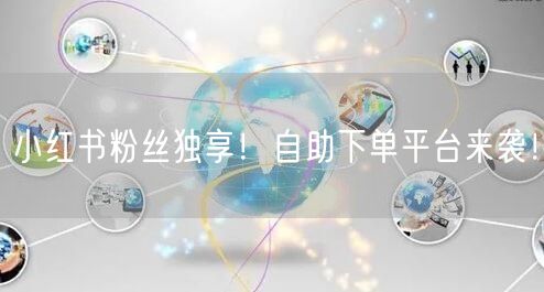 小红书粉丝独享！自助下单平台来袭！