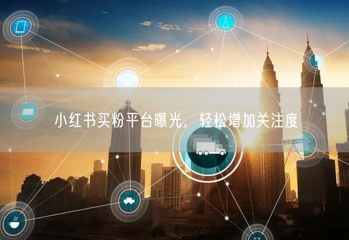小红书买粉平台曝光，轻松增加关注度