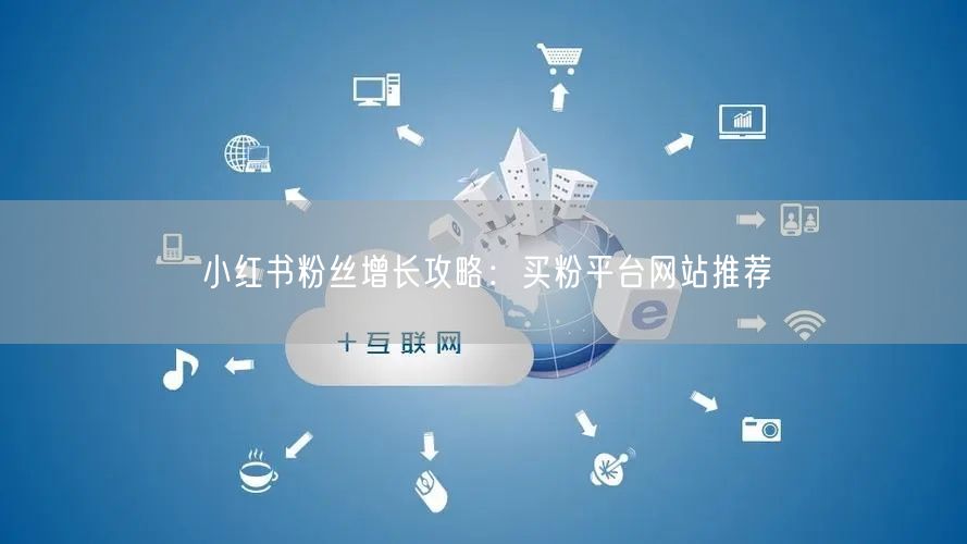 小红书粉丝增长攻略：买粉平台网站推荐