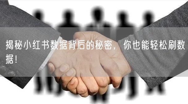 揭秘小红书数据背后的秘密，你也能轻松刷数据！